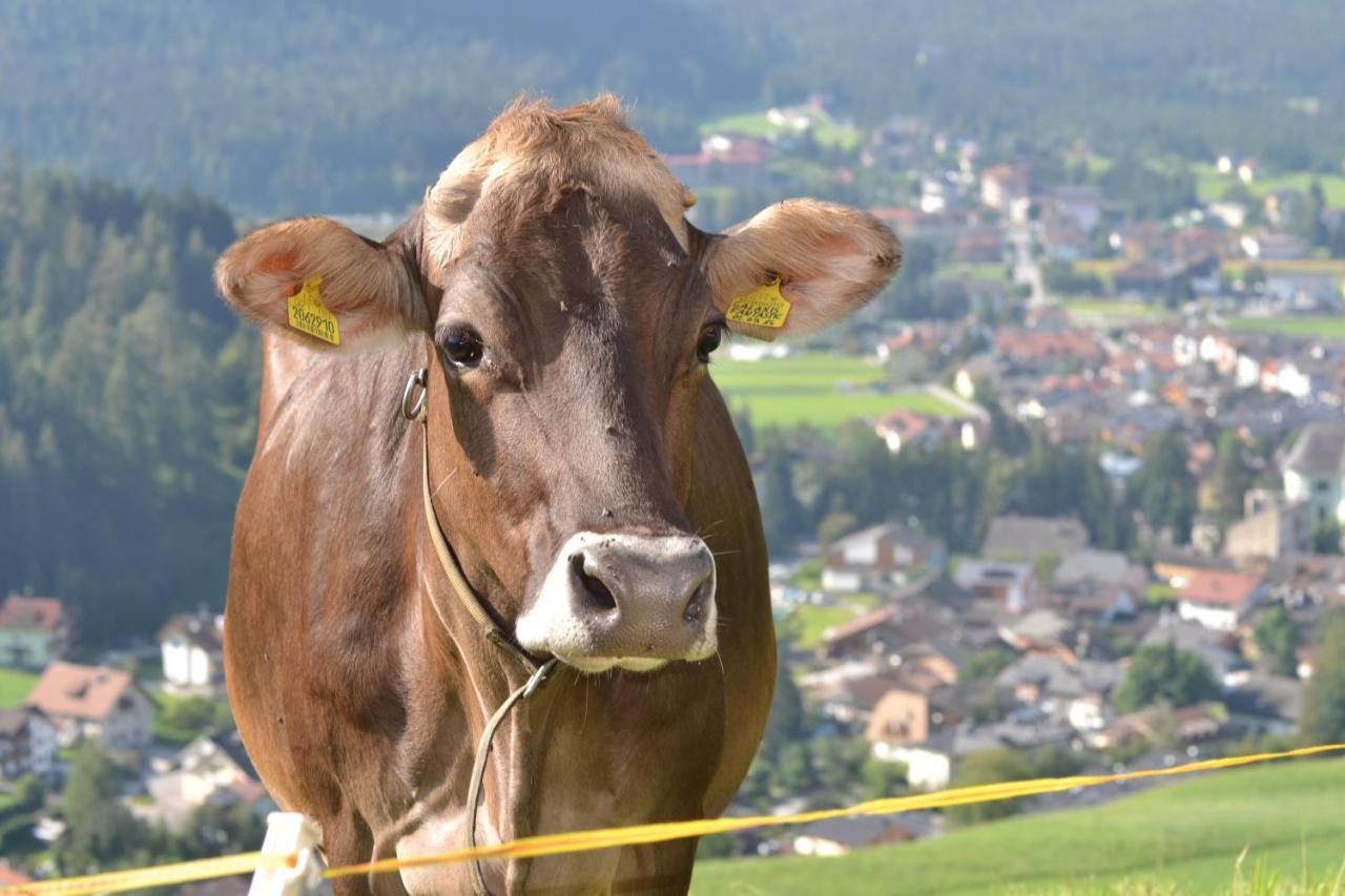 Appartamento Gostnerhof Dobbiaco Esterno foto