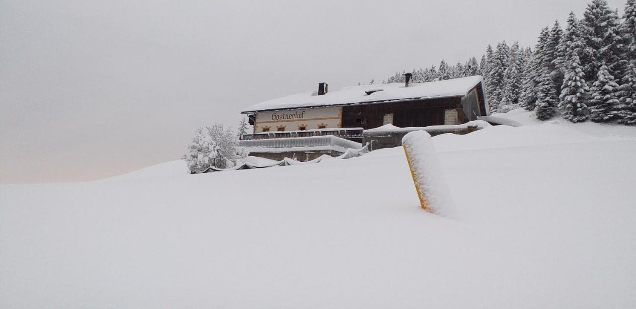 Appartamento Gostnerhof Dobbiaco Esterno foto