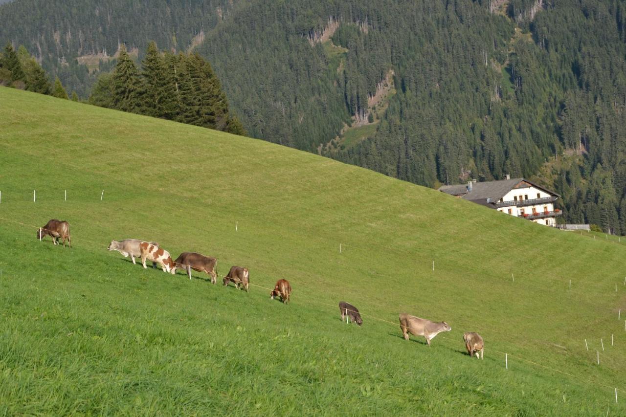 Appartamento Gostnerhof Dobbiaco Esterno foto